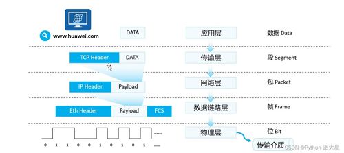 网络基础概览 设备、模型、协议与通信过程